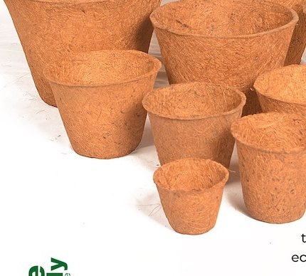Coco Saksı / Cube